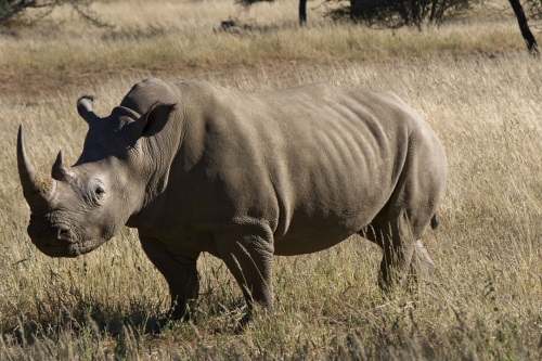 Rondreis Namibie - Namibie in vogelvlucht - autorondreis dag 08